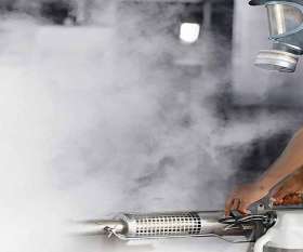 Silverfish Removal Melbourne