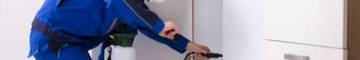 Ses Pest Control Brisbane Banner