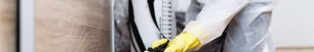 Rodent Control Brisbane Banner