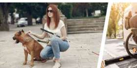 Total Permanent Disability