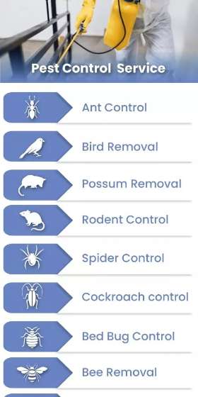 Pest Control Ringwood