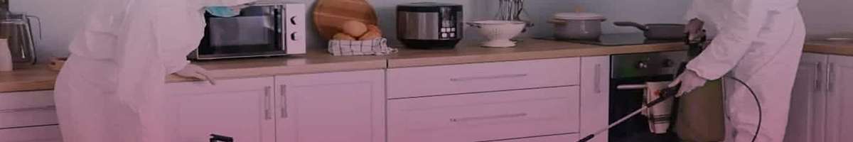 Flea Pest control Perth Banner