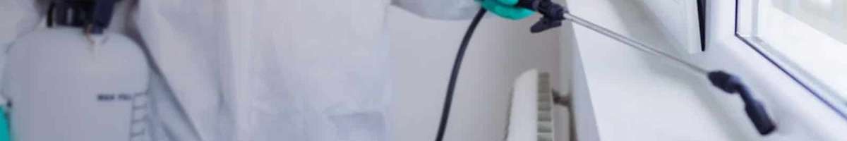 Silverfish Removal Brisbane Banner