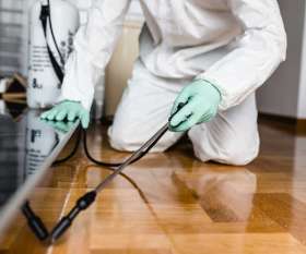 Enviro Spray Pest Management