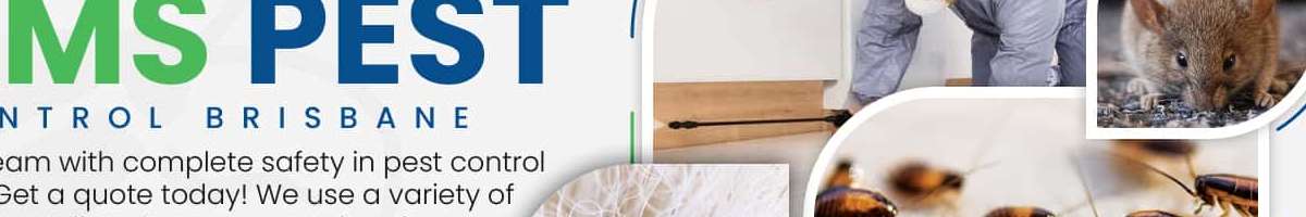 Bed Bugs Control Brisbane Banner