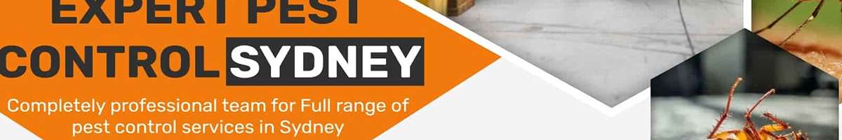 Flea Pest Control Sydney Banner