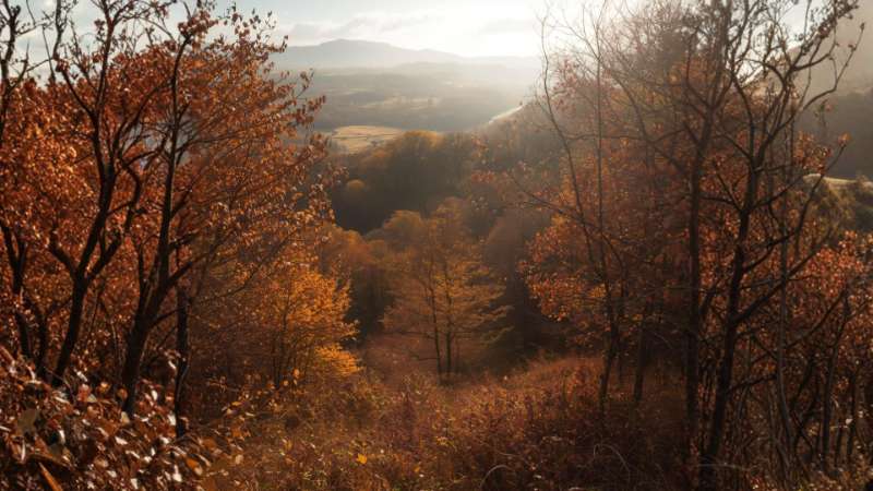 Embrace the Beauty of Autumn: 9 Unforgettable Experiences for Your Seasonal Adventure in Glasgow