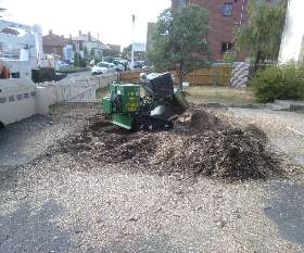 Horizon Tree Service