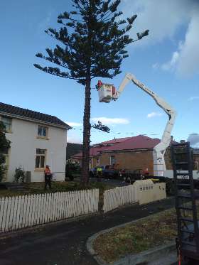 Horizon Tree Service