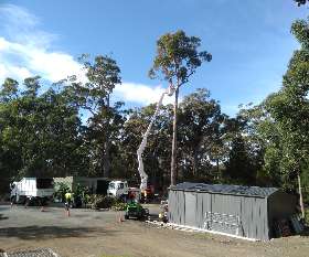 Horizon Tree Service