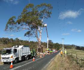 Horizon Tree Service