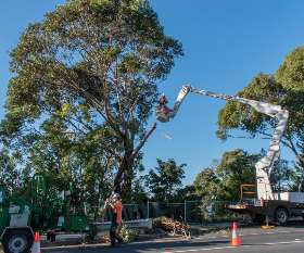 Horizon Tree Service