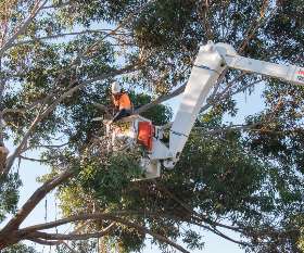 Horizon Tree Service