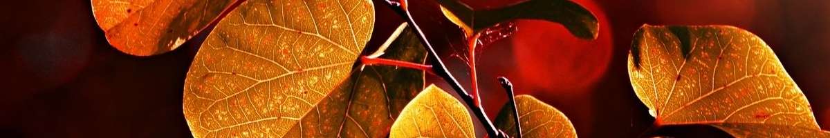 John Hossack Funerals Banner