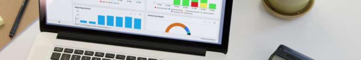 Platinum Partner : Software Reselling Solution Banner