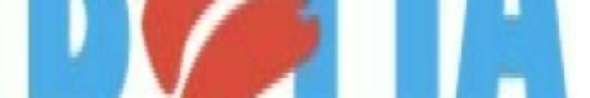 Roman Blinds Adelaide Banner