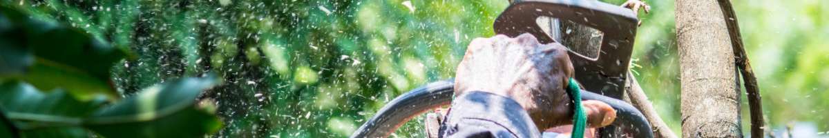 Canberra Tree Service Banner