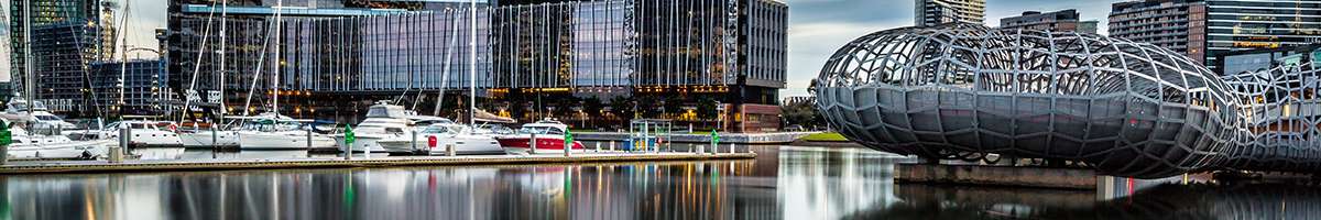 MD Photography Banner