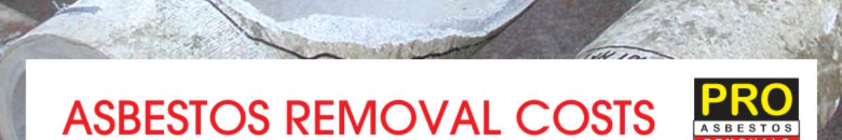 VIP Asbestos Removal Sydney Banner