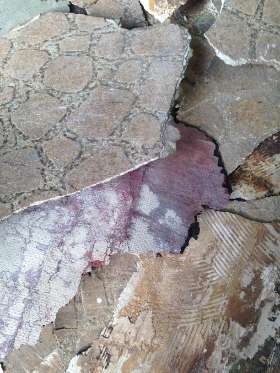 VIP Asbestos Removal Sydney