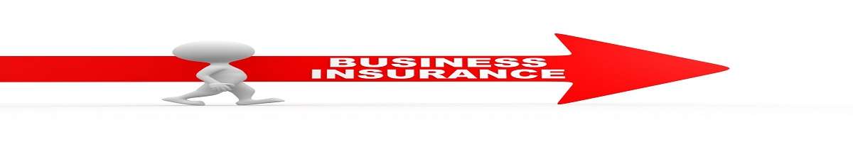 Surewise Banner