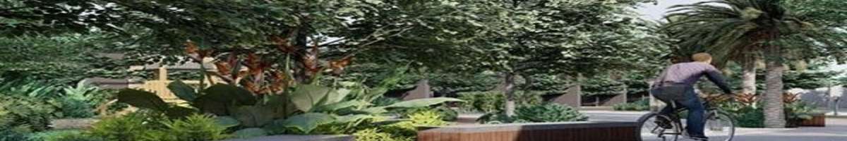 Design Scapes Banner