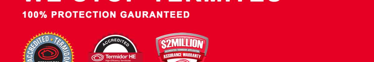 Pro Termites Banner