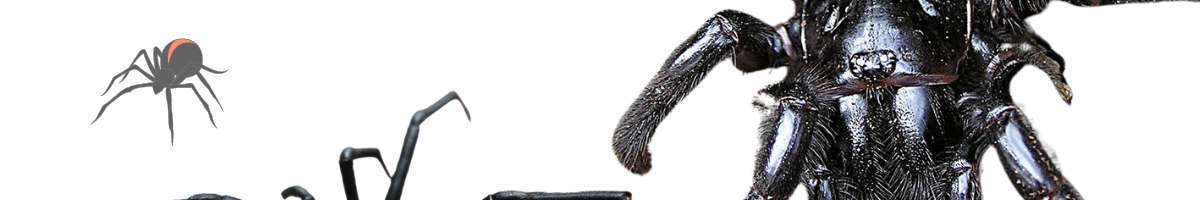 OCG Pest Control Campbelltown Banner