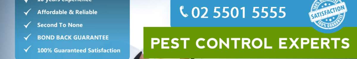 Pro Pest Control Canberra Banner