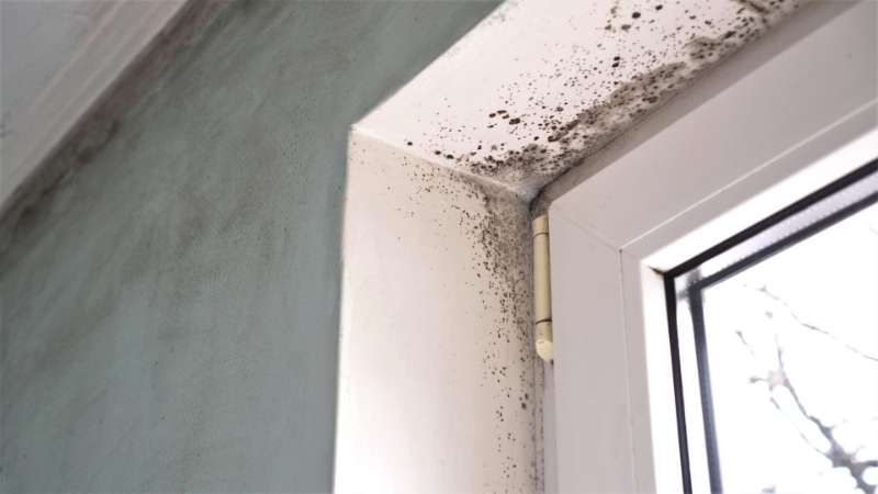 How to Prevent Mould in Bathrooms | Interior Painting Blue Mountains