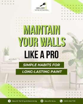 maintain your walls like a pro!
