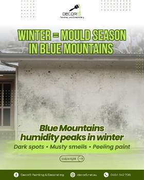 Winter = Mould Season in Blue Mountains