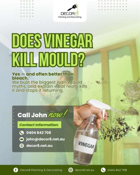 Does Vinegar Kill Mould? Mould Myths vs Facts