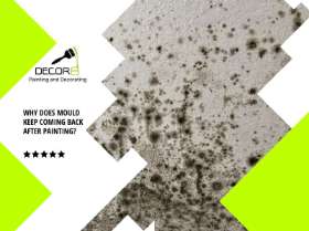 Why Does Mould Keep Coming Back After Painting?