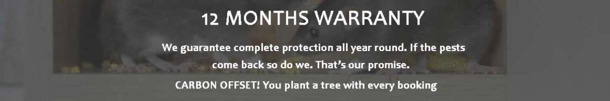 Eco Pest Control Gold Coast Banner