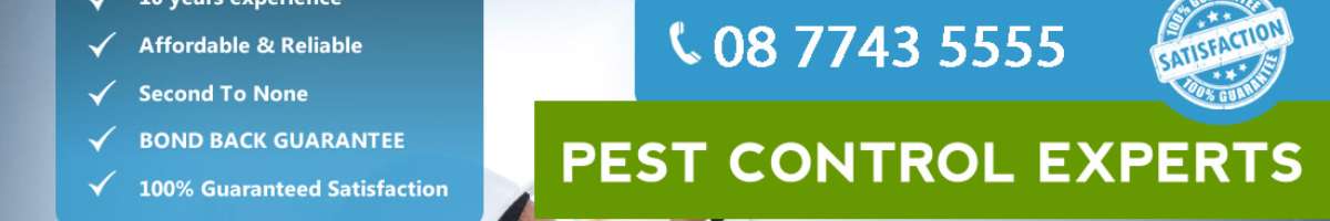 Pro Pest Control Adelaide Banner