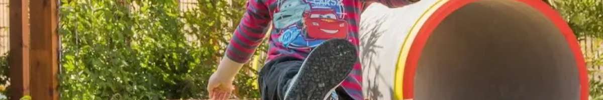 Busy Bees at Yanchep Banner