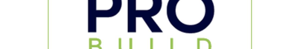 Pro Build Roofing Brisbane Banner