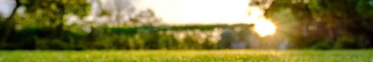 Tree Change - Gardening and Property Maintenance Banner