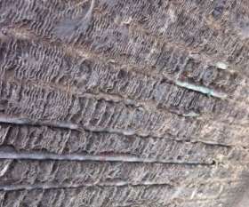  Clements Airconditioning Refrigeration Electrical (CARE)