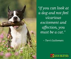 Bark Busters dog training - eastern suburbs daceyville