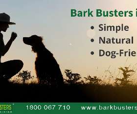 Bark Busters dog training - eastern suburbs charing cross