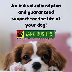 Bark Busters dog training - eastern suburbs broadway