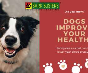 Bark Busters dog training - eastern suburbs bondi junction