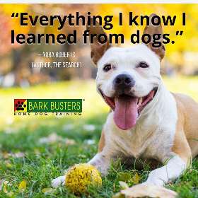 Bark Busters dog training - eastern suburbs bondi beach