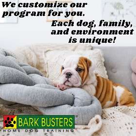 Bark Busters dog training - eastern suburbs bondi