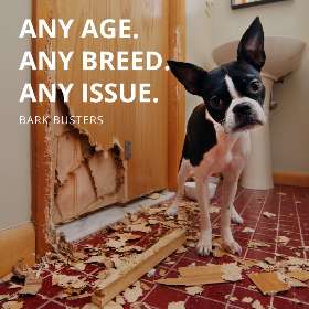 Bark Busters - Eastern Suburbs