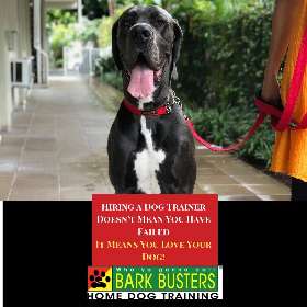 Bark Busters - Eastern Suburbs