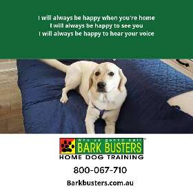 Bark Busters dog training - eastern suburbs