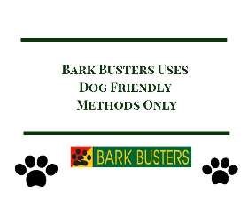 Dog training elizabeth bay, Eastern Sububrs - by Bark Busters